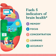 Neuriva Original Brain Health Supplement Capsules, 45 ct