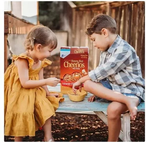 Honey Nut Cheerios Cereal, 48 oz.