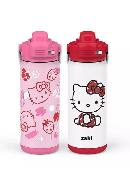Zak Designs 20-oz. Stainless Steel Double Wall Beacon Straw Bottle for Kids, 2 pack (Assorted Colors)